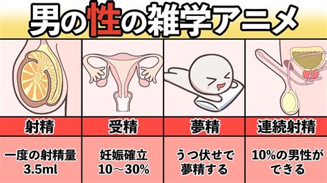 夢精 期間|夢精入門｜病気ではない？メカニズムと原因、対処法などを解